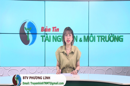 Bản tin Truyền hình TN&MT số 32/2024 (số 367)