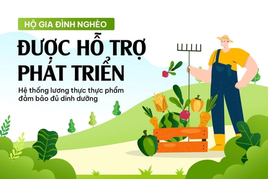 Hướng dẫn hộ gia đình nghèo lập dự án phát triển hệ thống lương thực thực phẩm đảm bảo đủ dinh dưỡng