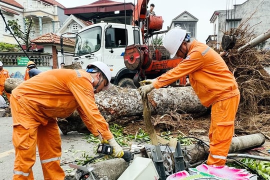 Vĩnh Phúc tăng cường rà soát, chủ động phòng chống thiên tai