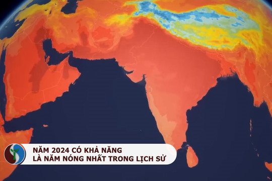 Năm 2024: Các kỷ lục nhiệt độ liên tiếp bị “xô đổ”