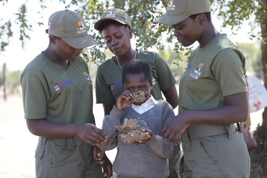 Đối mặt với mối đe dọa từ động vật hoang dã, trẻ em Zimbabwe học cách tự vệ