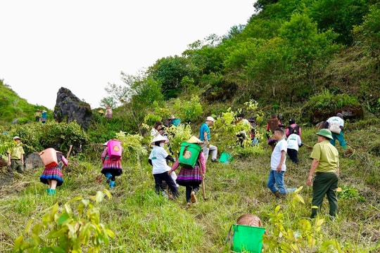 Trồng 18.000 cây rừng ở Tây Bắc