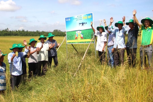 PVFCCo: Tiên phong sử dụng drone để bón phân Phú Mỹ cho cây lúa