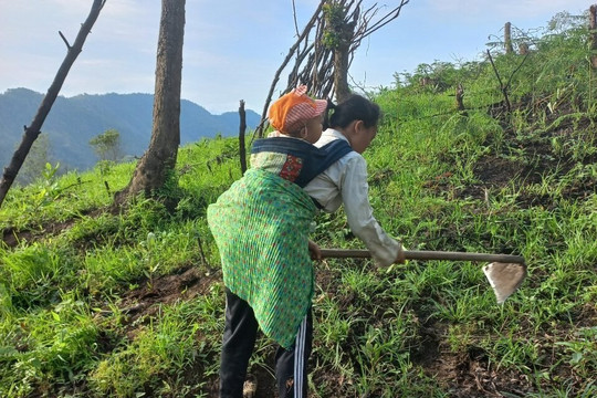 Pác Nặm (Bắc Kạn): Để rừng mãi thêm xanh