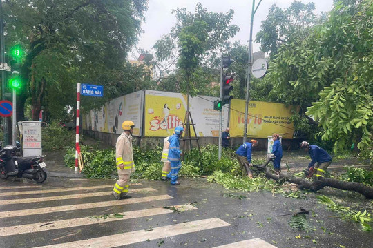 Hà Nội: Sở GTVT triển khai cấp bách các biện pháp khắc phục hậu quả bão số 3