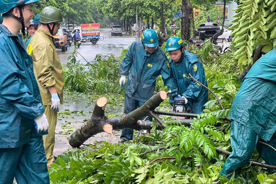 Hà Nội: Tổng lực dọn dẹp, khắc phục hậu quả sau bão