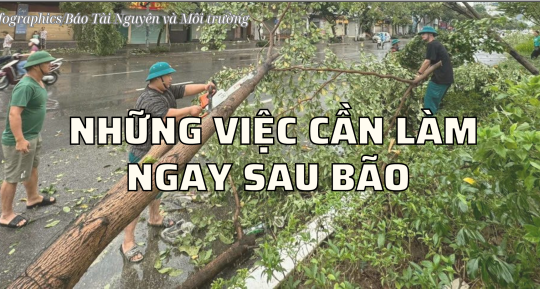 Infographic: Những việc cần làm ngay sau bão