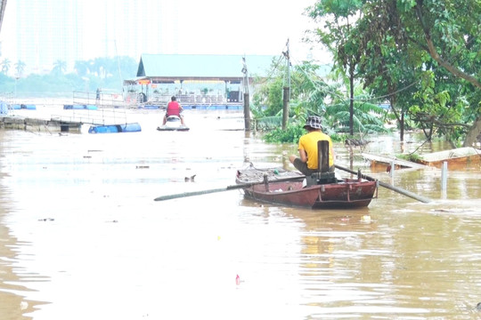 Hà Nội: Đảo lộn cuộc sống của người dân ven đê