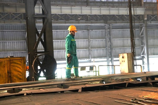 VNSTEEL: Tháng 8, thép cán nguội và tôn mạ tăng trưởng cao so với cùng kỳ