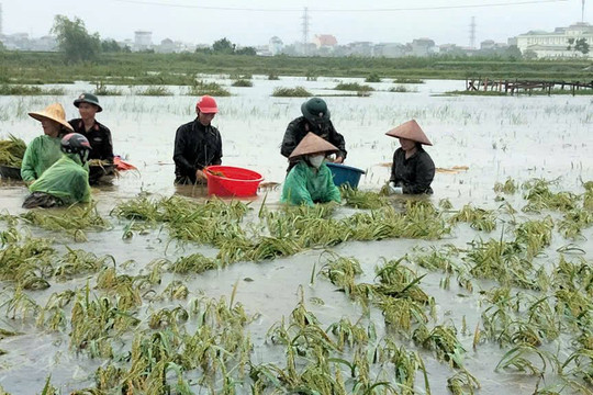 Thạch Thất (Hà Nội): Chủ động ứng phó khắc phục hậu quả sau bão số 3