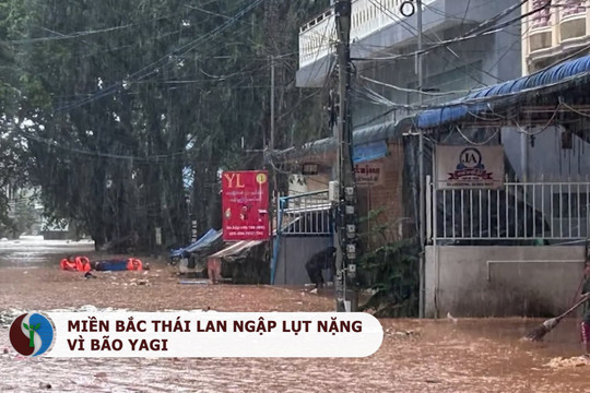 Thái lan: Miền Bắc ngập lụt nặng vì bão Yagi