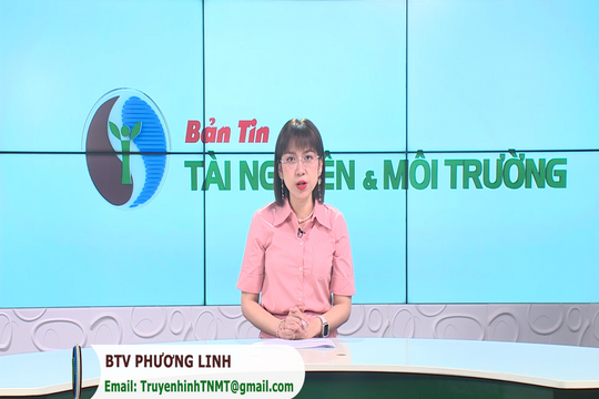 Bản tin Truyền hình TN&MT số 37/2024 (Số 372)