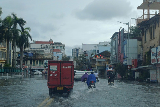 Hải Phòng triển khai ứng phó với áp thấp nhiệt đới có khả năng mạnh lên thành bão