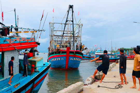 Quảng Ngãi: Cấm tàu thuyền ra biển hoạt động từ 12 giờ trưa nay