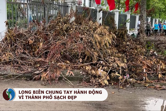 Long Biên chung tay hành động vì thành phố xanh, sạch, đẹp