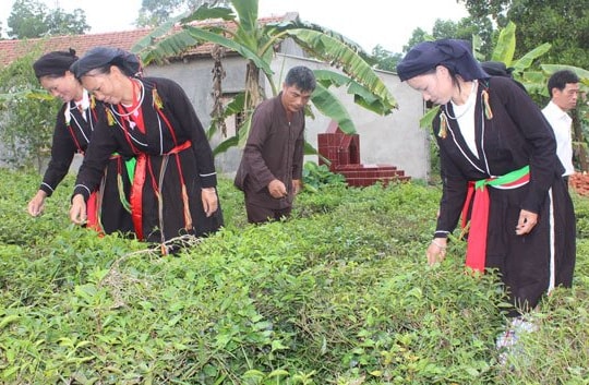 Thái Nguyên: Chính sách mới về đất đai cho đồng bào dân tộc thiểu số