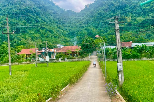 Phù Yên (Sơn La): Nỗ lực hoàn thành tiêu chí môi trường trong xây dựng NTM