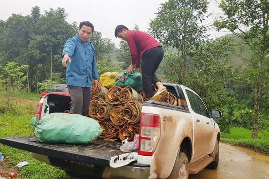 Huyện Ba Chẽ (Quảng Ninh): Chăm lo đời sống đồng bào dân tộc thiểu số