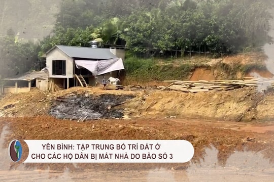 Yên Bình: Tập trung bố trí đất ở cho các hộ dân bị mất nhà do bão số 3