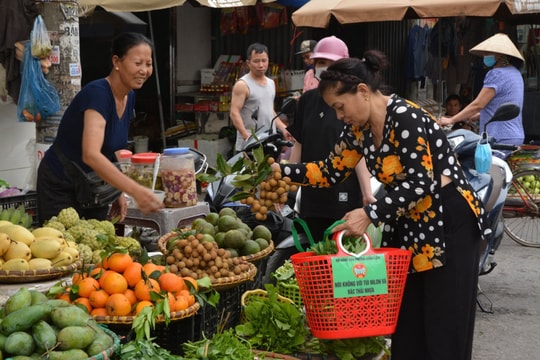 Hải Phòng: Giảm thiểu túi nilong, bảo vệ môi trường sống