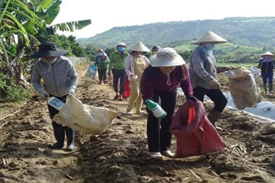 Gia Lai: Chất lượng môi trường chuyển biến tích cực