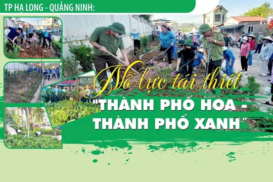 Hạ Long nỗ lực tái thiết "thành phố hoa - thành phố xanh"