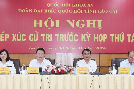 Lào Cai: Cử tri quan tâm đặc biệt tới lĩnh vực Tài nguyên môi trường