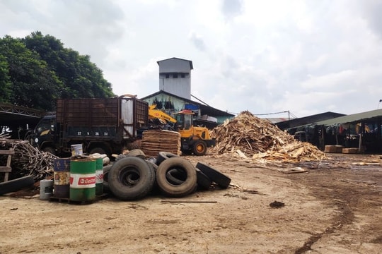 Tiếp bài “Hàng loạt cơ sở băm gỗ dăm “mọc” lên không phép” ở Nghệ An: Cần mạnh tay xử lý