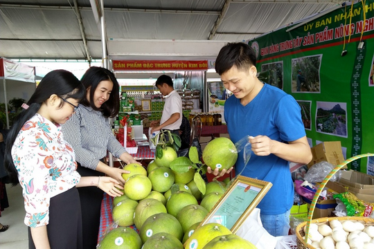 Hòa Bình: Hiệu quả từ Chương trình MTQG phát triển kinh tế - xã hội vùng đồng bào dân tộc thiểu số và miền núi