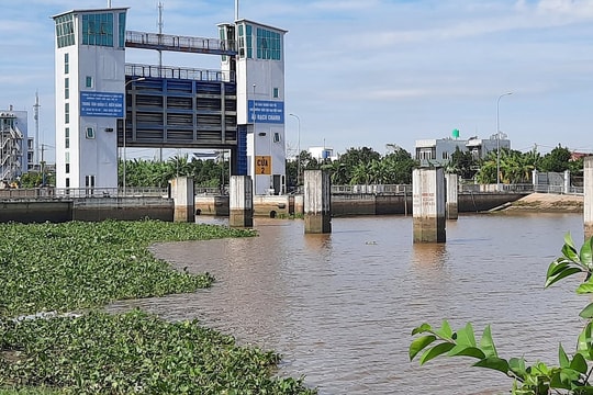 Long An: Quản lý, sử dụng hiệu quả tài nguyên nước