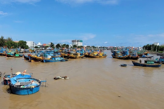 Bình Thuận: Chủ động ứng phó với gió mạnh trên biển