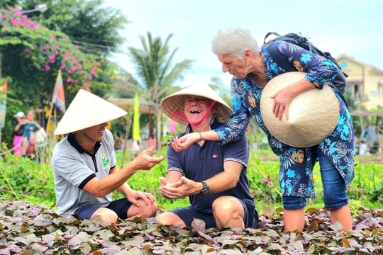 Quảng Nam: Du lịch bền vững để khai thác nguồn tài nguyên khoa học