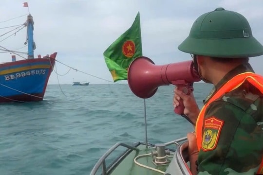 Quảng Ngãi: Cấm tàu thuyền ra khơi, hoãn các cuộc họp không cần thiết tập trung chống bão Trà Mi