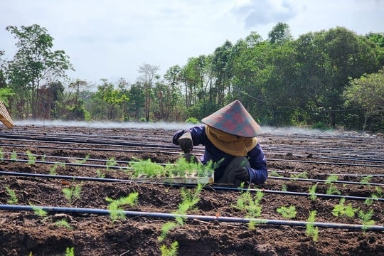 Đắk Nông: Đồng hành chống biến đổi khí hậu