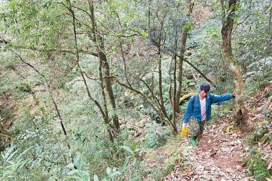 Lai Châu: Ban hành Chỉ thị quản lý, bảo vệ rừng phòng cháy chữa cháy rừng mùa khô