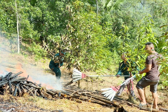 Tuyên Quang: Chủ động phòng, chống cháy rừng từ sớm, từ xa