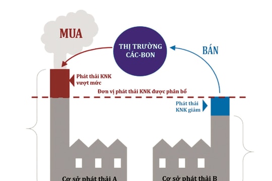 Kinh nghiệm quốc tế trong quản lý hạn ngạch phát thải