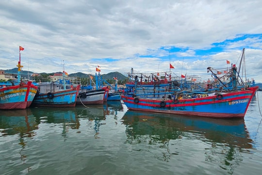 Bình Định hỗ trợ kinh phí lắp đặt thiết bị giám sát hành trình trên tàu cá