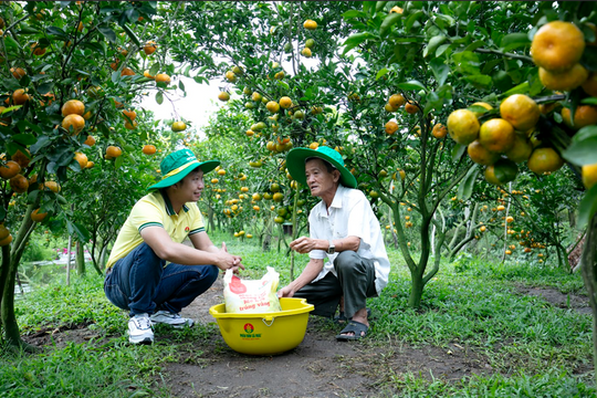 Phân bón Cà Mau: Nuôi chí bền với sứ mệnh chữ “An”