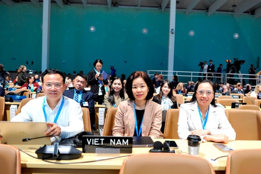 Tài chính khí hậu tại COP29