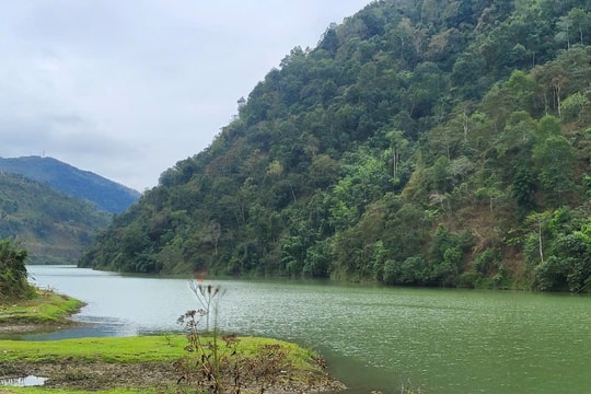 Lai Châu:Tạo động lực để người dân vùng cao bảo vệ rừng