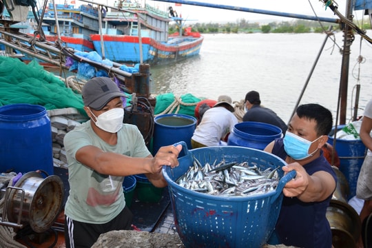 Phát triển kinh tế biển xanh và góc nhìn thực tiễn ở Quảng Bình Bài 1: Phát triển kinh tế biển xanh ở Việt Nam