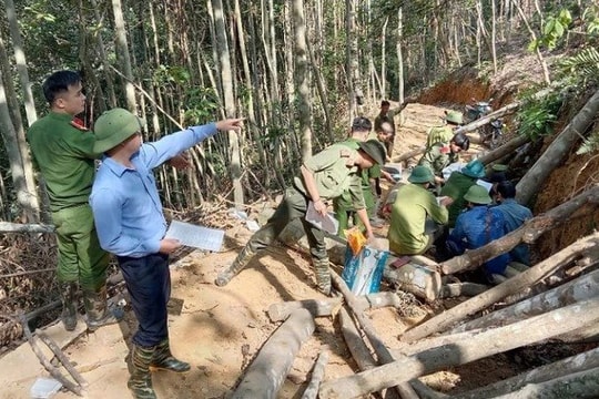 Na Rì (Bắc Kạn): Chuyển cơ quan CSĐT vụ phá rừng quy mô lớn