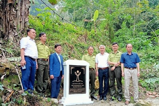 Tân Lạc (Hòa Bình): 4 cây cổ thụ được công nhận “cây di sản” Việt Nam trong lễ hội văn hóa