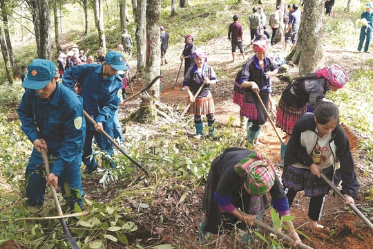 Mù Cang Chải phát huy “Ngày cuối tuần cùng dân” bảo vệ rừng