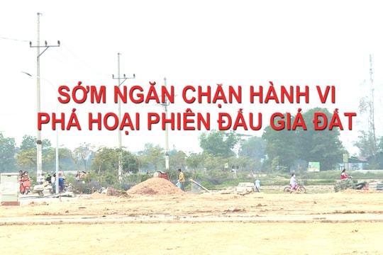 Sớm ngăn chặn hành vi phá hoại phiên đấu giá đất