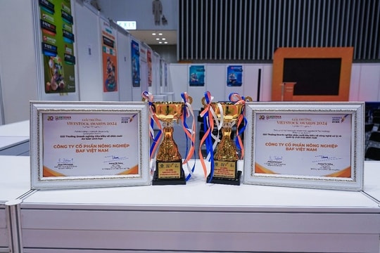 Công ty BAF Việt Nam vinh dự đón nhận 2 giải thưởng tại VIETSTOCK AWARDS 2024