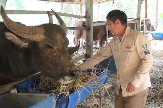 Nậm Pồ (Điện Biên): Chủ động phòng tránh rét cho vật nuôi