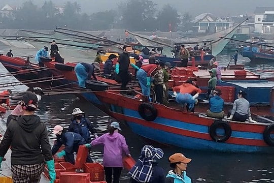 Nghệ An - Hà Tĩnh: Nỗ lực đăng ký cho các tàu cá “3 không”