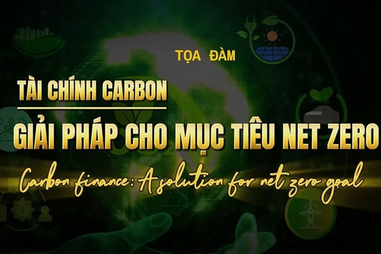 Tài chính Carbon: Giải pháp cho mục tiêu NetZero